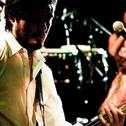 bomba-estereo_10.jpg