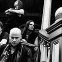 Disturbed