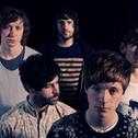 foals_11.jpg