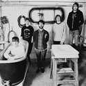 foals_12.jpg