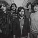 foals_13.jpg