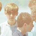 foals_16.jpg