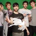 foals_21.jpg