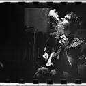 foals_22.jpg