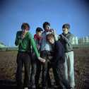 foals_26.jpg