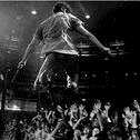 foals_27.jpg