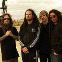 Korn