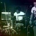 Living Commontree