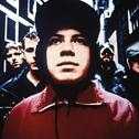 mogwai_14.jpg