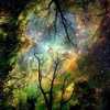 Psychemagik