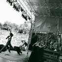 Rage Against the Machine