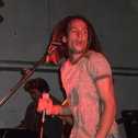 The Beatroots