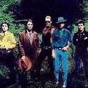 The Steve Gibbons Band
