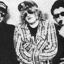 The Stupids