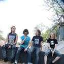 Turbowolf