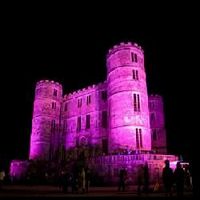 Camp bestival