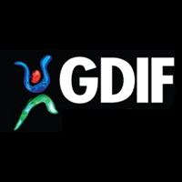 Greenwich & Docklands International Festival