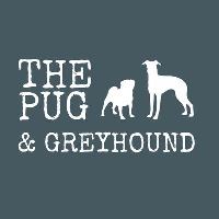 Pug and Greyhound