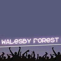 Walesby Forest Festival