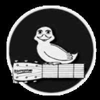 Wittfest Charity Music Festival