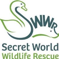 Secret World Wildlife