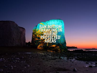 Boardmasters Festival 2026 Oceana UK Campaign Project 