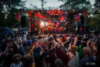 Good Vibrations Society Festival Returns for 2026