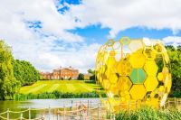 Shambala Festival Considers Introducing Wild Venison!