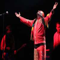 WOMAD Festival