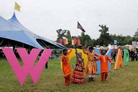 womad festival